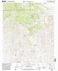 Download a high-resolution, GPS-compatible USGS topo map for White Rock Mountain, NM (2002 edition)