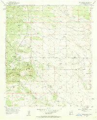Download a high-resolution, GPS-compatible USGS topo map for White Signal, NM (1963 edition)