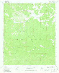 Download a high-resolution, GPS-compatible USGS topo map for Whitetail, NM (1980 edition)