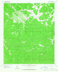 Download a high-resolution, GPS-compatible USGS topo map for Whitetail, NM (1967 edition)