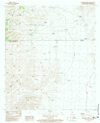 Download a high-resolution, GPS-compatible USGS topo map for Whitewater Creek, NM (1983 edition)