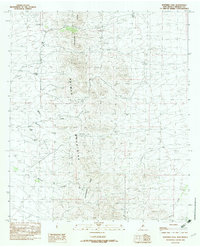 Download a high-resolution, GPS-compatible USGS topo map for Whitmire Pass, NM (1982 edition)