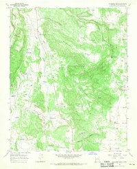 Download a high-resolution, GPS-compatible USGS topo map for Wildhorse Mesa, NM (1971 edition)