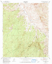 Download a high-resolution, GPS-compatible USGS topo map for Wind Mountain, NM (1991 edition)