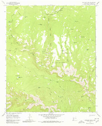 Download a high-resolution, GPS-compatible USGS topo map for Woodland Park, NM (1980 edition)