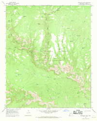 Download a high-resolution, GPS-compatible USGS topo map for Woodland Park, NM (1969 edition)
