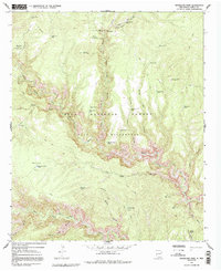 Download a high-resolution, GPS-compatible USGS topo map for Woodland Park, NM (1992 edition)