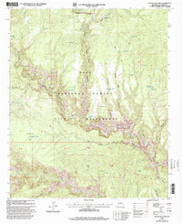 Download a high-resolution, GPS-compatible USGS topo map for Woodland Park, NM (2002 edition)