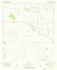 Download a high-resolution, GPS-compatible USGS topo map for Woodley Flat, NM (1976 edition)