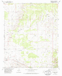 Download a high-resolution, GPS-compatible USGS topo map for Wrye Peak, NM (1986 edition)