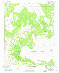 Download a high-resolution, GPS-compatible USGS topo map for Yankee, NM (1974 edition)