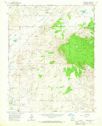 Download a high-resolution, GPS-compatible USGS topo map for Youngs Lake, NM (1966 edition)