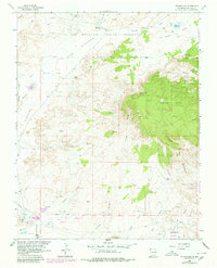 Download a high-resolution, GPS-compatible USGS topo map for Youngs Lake, NM (1980 edition)