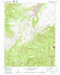Download a high-resolution, GPS-compatible USGS topo map for Youngsville, NM (1980 edition)