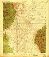 Download a high-resolution, GPS-compatible USGS topo map for Animas Peak, NM (1920 edition)