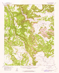Download a high-resolution, GPS-compatible USGS topo map for Apache Springs, NM (1962 edition)