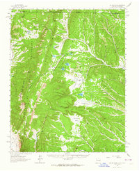 Download a high-resolution, GPS-compatible USGS topo map for Ash Mountain, NM (1964 edition)