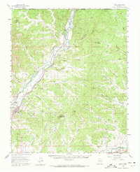Download a high-resolution, GPS-compatible USGS topo map for Aztec, NM (1972 edition)