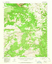 Download a high-resolution, GPS-compatible USGS topo map for Cebolla, NM (1965 edition)
