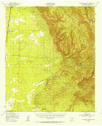 Download a high-resolution, GPS-compatible USGS topo map for Escondido Canyon, NM (1954 edition)