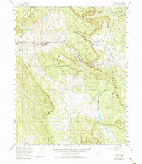 Download a high-resolution, GPS-compatible USGS topo map for Lumberton, NM (1985 edition)