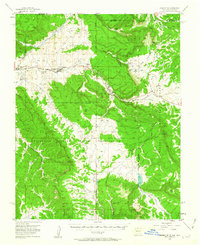 Download a high-resolution, GPS-compatible USGS topo map for Lumberton, NM (1963 edition)