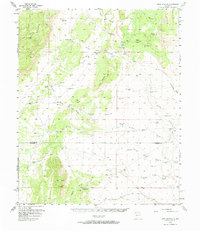 Download a high-resolution, GPS-compatible USGS topo map for Mesa Aparejo, NM (1973 edition)