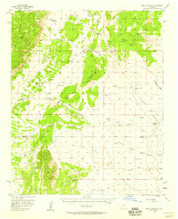 Download a high-resolution, GPS-compatible USGS topo map for Mesa Aparejo, NM (1958 edition)