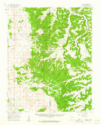 Download a high-resolution, GPS-compatible USGS topo map for Nageezi, NM (1962 edition)