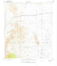 1918 Map of Animas, NM, 1971 Print