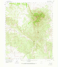 Download a high-resolution, GPS-compatible USGS topo map for Riley, NM (1967 edition)