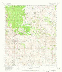 Download a high-resolution, GPS-compatible USGS topo map for Steeple Rock, NM (1972 edition)