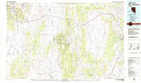preview thumbnail of historical topo map of White Pine County, NV in 1979