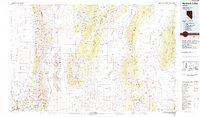 Download a high-resolution, GPS-compatible USGS topo map for Newark Lake, NV (1985 edition)