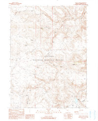 Download a high-resolution, GPS-compatible USGS topo map for Alkali Peak, NV (1990 edition)
