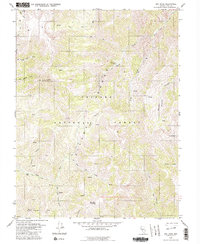 Download a high-resolution, GPS-compatible USGS topo map for Arc Dome, NV (1985 edition)