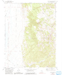 Download a high-resolution, GPS-compatible USGS topo map for Barley Creek, NV (1991 edition)