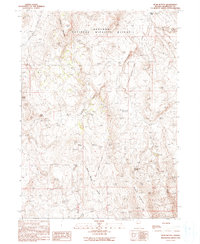 Download a high-resolution, GPS-compatible USGS topo map for Bear Buttes, NV (1990 edition)