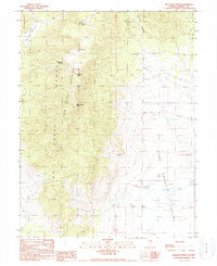 preview thumbnail of historical topo map of Eureka County, NV in 1990