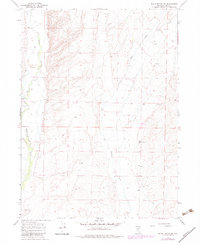 Download a high-resolution, GPS-compatible USGS topo map for Black Butte SW, NV (1983 edition)