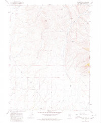 Download a high-resolution, GPS-compatible USGS topo map for Black Butte, NV (1980 edition)