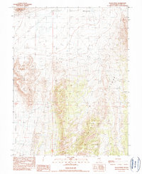 Download a high-resolution, GPS-compatible USGS topo map for Black Point, NV (1990 edition)