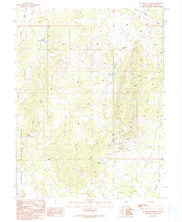 Download a high-resolution, GPS-compatible USGS topo map for Blackjack Springs, NV (1991 edition)