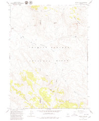 Download a high-resolution, GPS-compatible USGS topo map for Blowout Mtn, NV (1979 edition)