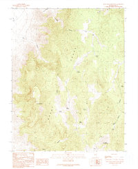 Download a high-resolution, GPS-compatible USGS topo map for Blue Eagle Mountain, NV (1990 edition)