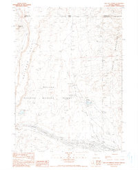 Download a high-resolution, GPS-compatible USGS topo map for Bog Hot Springs, NV (1990 edition)