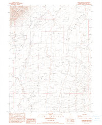 Download a high-resolution, GPS-compatible USGS topo map for Boyer Ranch, NV (1990 edition)