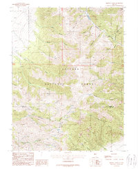 Download a high-resolution, GPS-compatible USGS topo map for Brewer Canyon, NV (1988 edition)