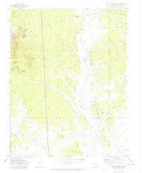 Download a high-resolution, GPS-compatible USGS topo map for Bristol Range NE, NV (1973 edition)