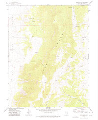 preview thumbnail of historical topo map of White Pine County, NV in 1977